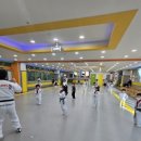 용인대 아름태권도 이미지