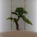 바이브호텔(마산합성점) 이미지