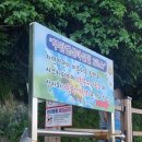 전북 부안 샤스타데이지 명소 꽃구경 부안 변산마실길 2코스 데이지 꽃 현황 구경 후기