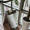 강남 신논현 미용실 아눔헤어 : 커트, 뿌리펌 후기 (by. 청천 디자이너)