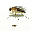 옥계마을쉼터 이미지