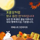 베스트그린