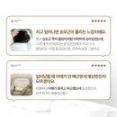 (주)에이치비에스 | 슬립앤슬립 아이유 깊은잠 베개 S, 진짜 꿀잠각일까?