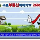 〓▷개봉역아파트 매매.전세 구로구 개봉동 초역세권 한양아이클래스 깨끗한아파트 전세25,000 준신축 신혼집 고척동우성부동산 구로부동산이야기 개봉동부동산 이미지