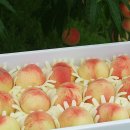 동기농장 이미지