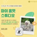 ㈜마이필름 Daum카페