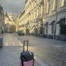 BLOSSOM 20 이미지