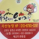 슬기로운 초록생활 이미지