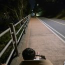 유진오토라이프주 | 에그 스카이2 휴대용 유모차 기내반입유모차와 함께 떠난 로맨틱한 여름 한강 밤산책