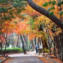 금강공원2 이미지