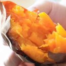 금우농장 이미지