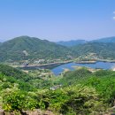 꽃밭에서 꽃들이 모여 살고요! - 임실 나래산 등산, 옥정호 작약꽃밭, 출렁다리, 붕어섬 생태공원,요산공원 탐방 이미지