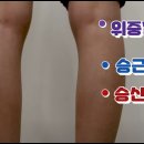 위중혈. 승근혈. 승산혈 이미지