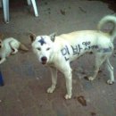 보배민박