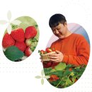 김성섭 농장 이미지