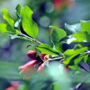 우리주차장 이미지