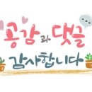 관저힐스파 이미지