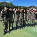 도리민박 이미지