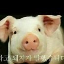 본오3동주민센터 | 📌 [백두산생고기] 상록수역 본오동 삼겹살 고기 맛집 찾는다면 여기입니다 여러분~