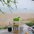 천진해변 이미지