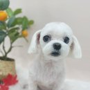 슈멍드아 이미지