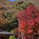 비석2교 | 형형색색 단풍절정 노고산이 품고 있는 고양 흥국사 수능기도 통일신라 천년고찰 서울 근교 여행 가볼만...