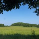 창암목장 이미지