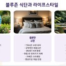블루존 이미지