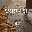 [밤의플랫폼] 조용필 - 잊혀진 사랑 이미지