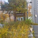 기림약국 이미지