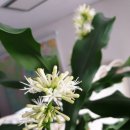 태평양공인중개사무소 이미지