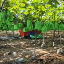 샤인하우스 가동 이미지