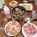 이호랑37 이미지