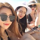 탐여행사