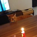 에담하우스 이미지