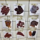 꼬미네까까 이미지