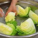 실패 없는 김장김치 양념 황금비율을 공개합니다 이미지