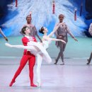 해설이 있는 발레이야기 이미지