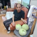대학하나로약국 이미지