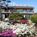 테라스의 아침2 이미지