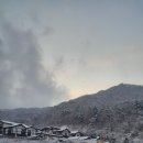 겨울 이색 데이트 코스 경기 동두천 가볼 만한 곳! 일본마을 니지모리 스튜디오 눈 오는 날 방문 후기