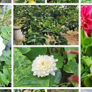 현기농장 이미지