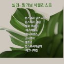 그린샵 이미지