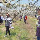 둔포면행정복지센터 이미지