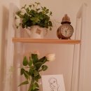 하이리조텔 이미지