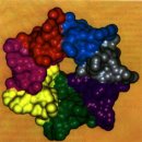 전신 온열요법에 의한 열활성 단백질 생성과암 억제 유전자 P53의 회복 기전에 관한 연구 결과 이미지