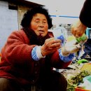 명성굼벵이