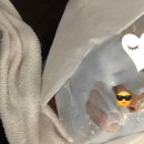 봄피부과의원 이미지