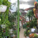 팔도화원 이미지