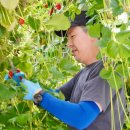 혁신농장 이미지